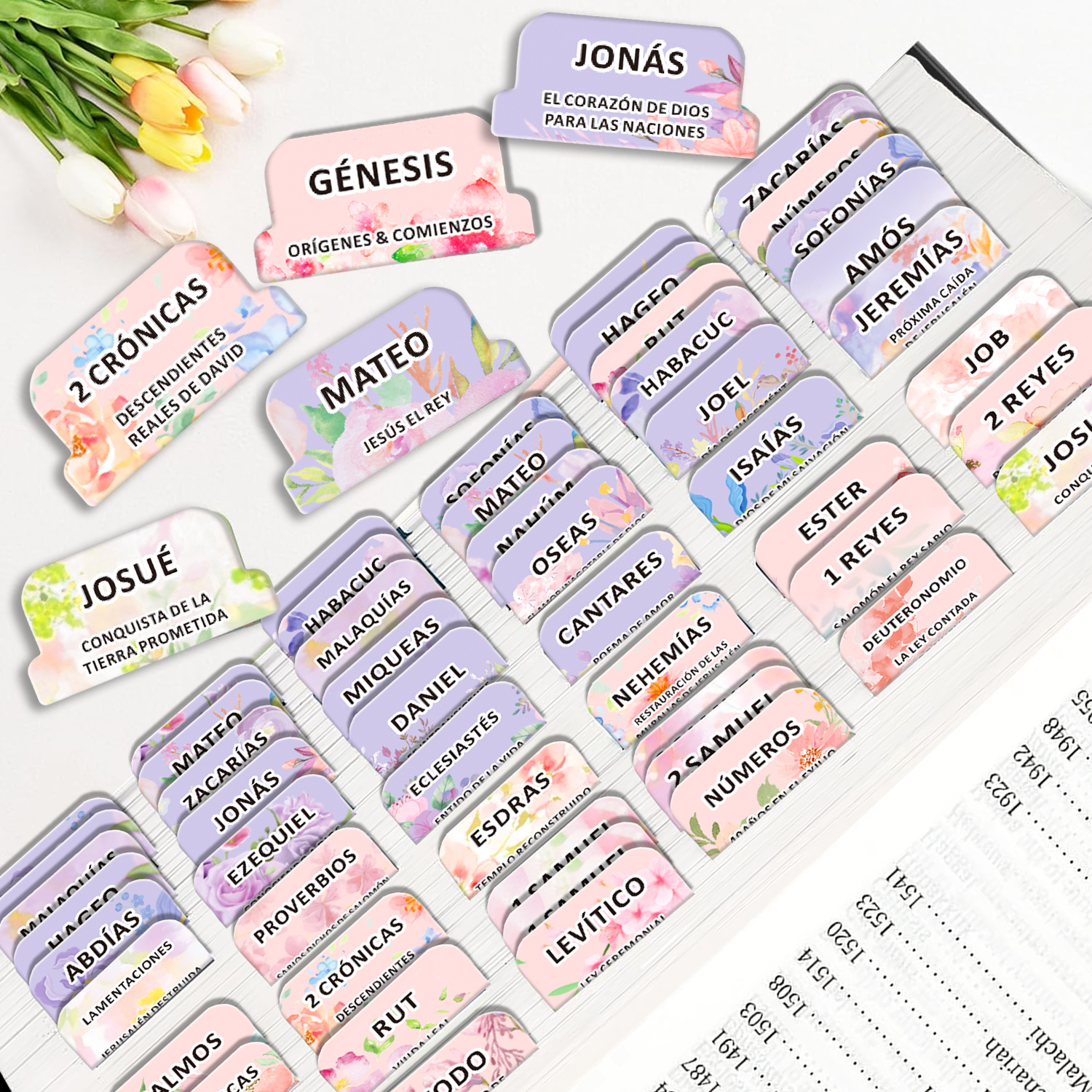 80pcs Spanish Bible Tabs-Soul  - Index Tab Divider recension och pris