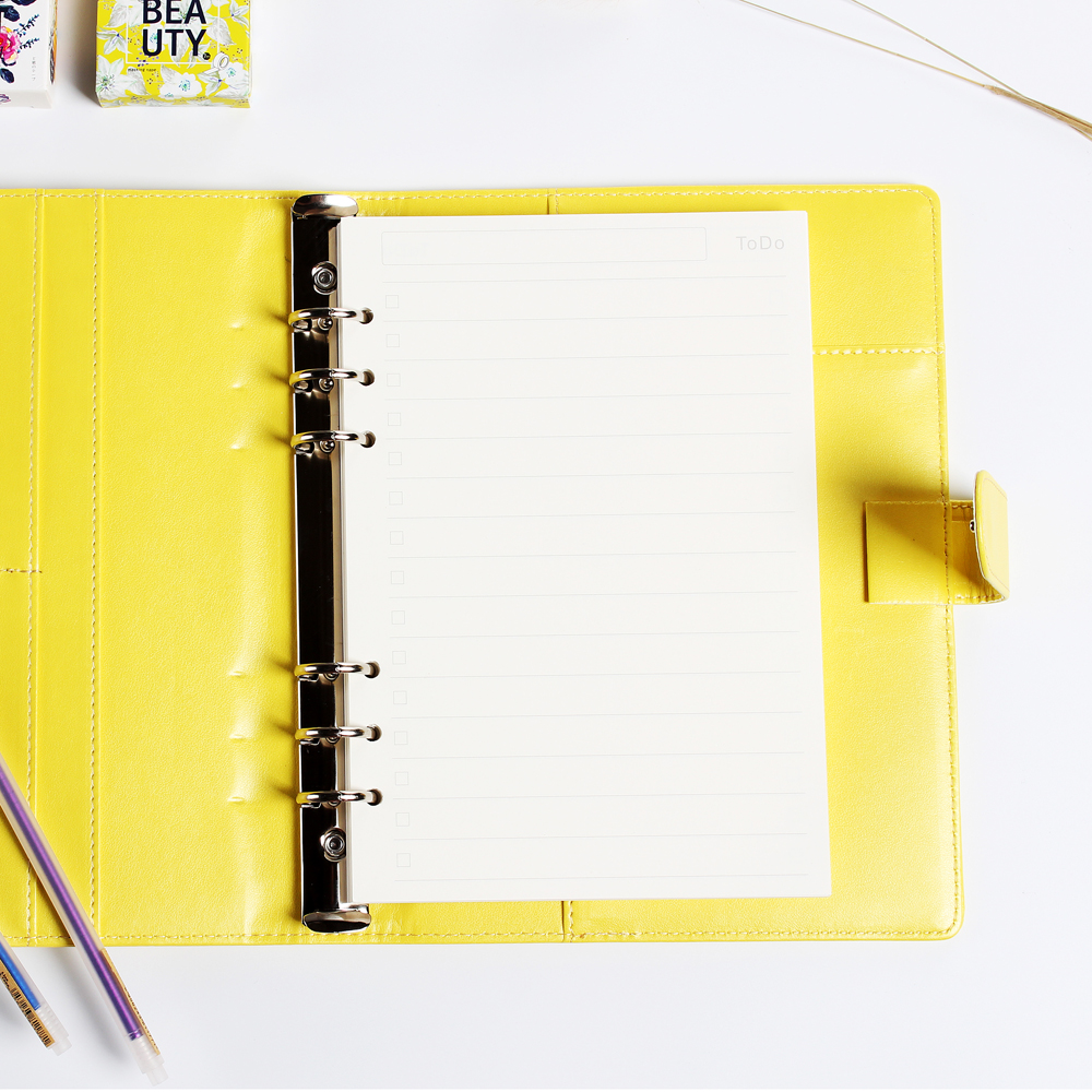 Diary 2025 Classic 6 Holes Bin - Notebook Dotted A5 recension och pris