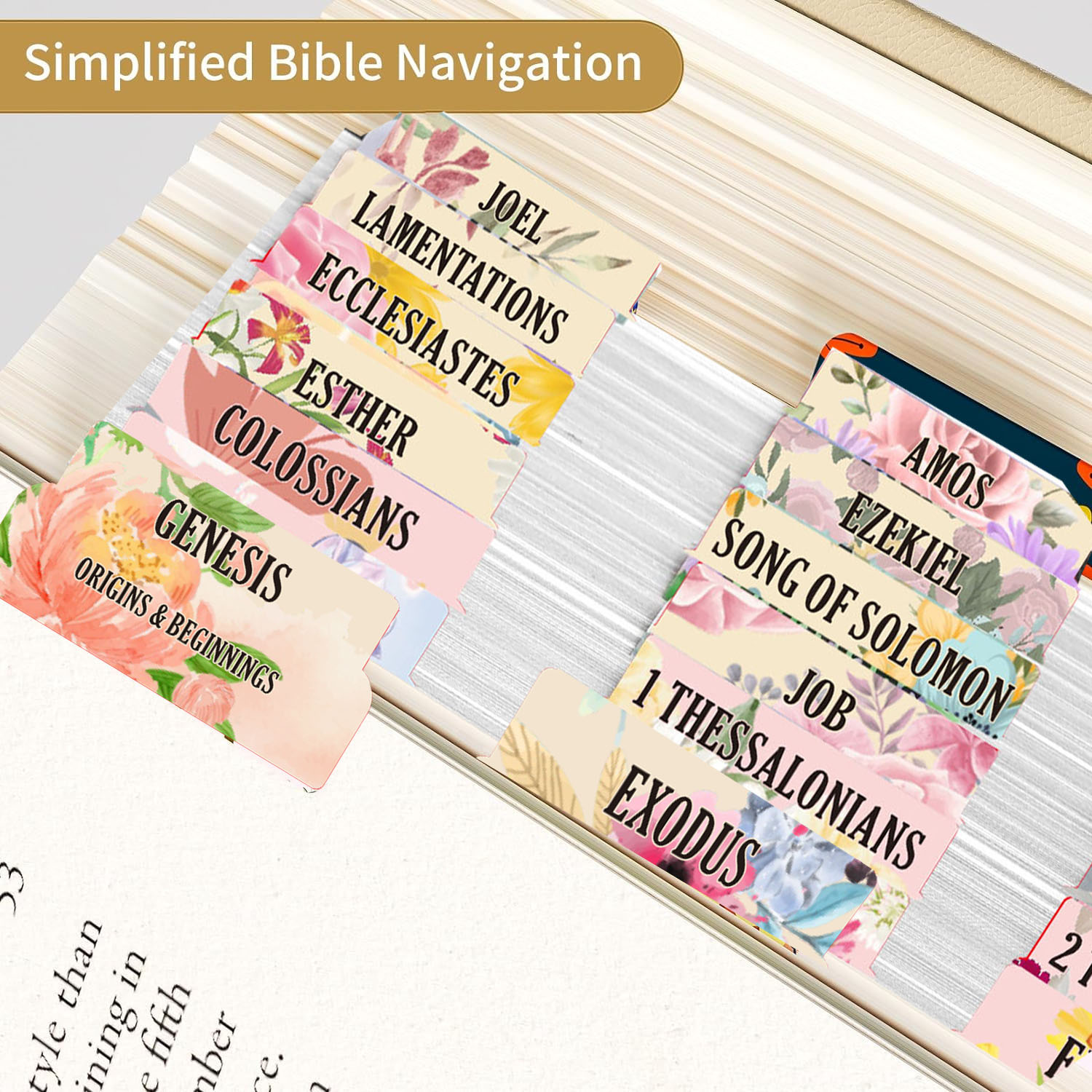 75pcs Large Font Sacred Text I - Index Tab Divider recension och pris